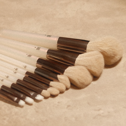10-PIECE BRUSHES SET