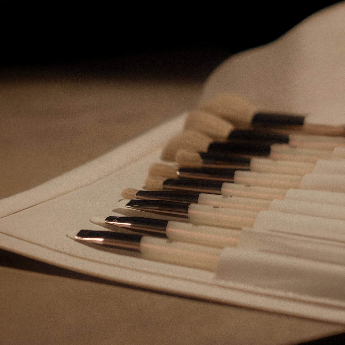 10-PIECE BRUSHES SET